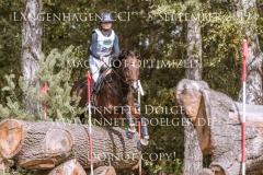 Daily's Starlight Chayenne PETERS Langenhagen 2019