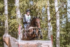 Remember Me 74 Marie-Sophie ARNOLD Langenhagen 2019