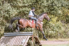 Remember Me 74 Marie-Sophie ARNOLD Langenhagen 2019