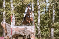 Piet 48 Katharina KOPP Langenhagen 2019