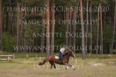 Nelson van Desta Nele REVYN