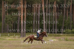 Nelson van Desta Nele REVYN