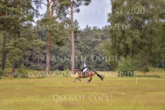 Castle King Joern WARNER