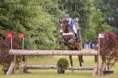 Alpaga d'Arville Lara DE LIEDEKERKE-MEIER