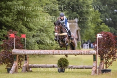 Alpaga d'Arville Lara DE LIEDEKERKE-MEIER