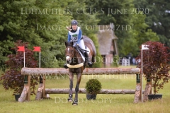 Alpaga d'Arville Lara DE LIEDEKERKE-MEIER