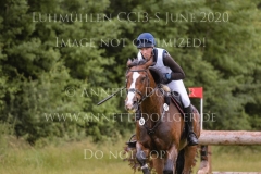 Castle King Joern WARNER