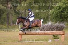 Castle King Joern WARNER