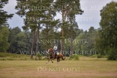 Nelson van Desta Nele REVYN