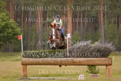 Nelson van Desta Nele REVYN