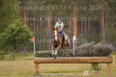 Nelson van Desta Nele REVYN