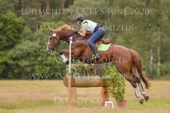 Nelson van Desta Nele REVYN