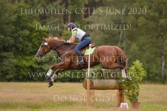 Nelson van Desta Nele REVYN