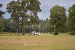 Luthien 3 Arne BERGENDAHL