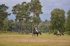 Cuckuck Julia MESTERN