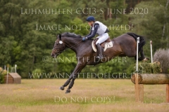 Cuckuck Julia MESTERN