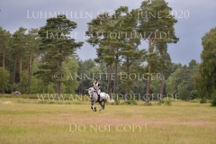 Luthien 3 Arne BERGENDAHL