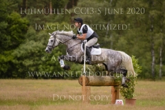 Luthien 3 Arne BERGENDAHL