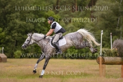 Luthien 3 Arne BERGENDAHL