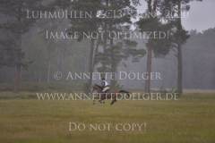 Chacon 3 Philipp RIEDESEL