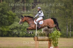 Unetoile de la Serre Romain SANS