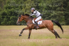 Unetoile de la Serre Romain SANS