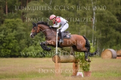 Tullyoran Cruise JRA Yoshiaki OIWA