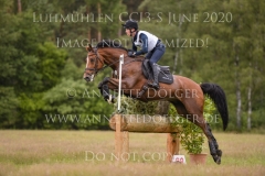 Quidor 8 Felix ETZEL