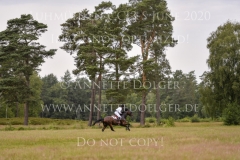 fischerChipmunk FRH Michael JUNG