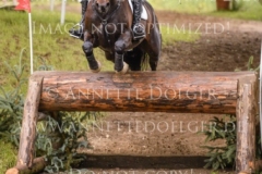 Dekorateurin Baumeister Cord MYSEGAES