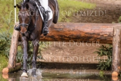 Dekorateurin Baumeister Cord MYSEGAES