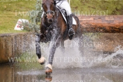 Dekorateurin Baumeister Cord MYSEGAES