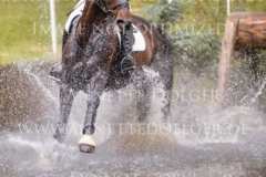 Dekorateurin Baumeister Cord MYSEGAES