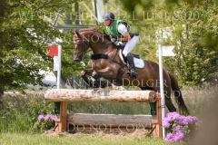 Painter's Maxim Kai-Steffen MEIER