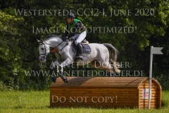 Hoehenflug 3 Andreas OSTHOLT