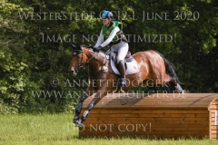 Belissimo Boy K Camille DELVAUX