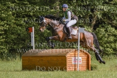 Magic Mick Merle WEWER