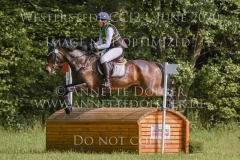 Magic Mick Merle WEWER