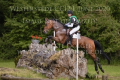 Die Amy Carolin SCHLOMBERG