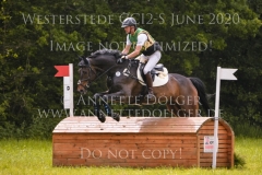 Sir Boggles Peter THOMSEN