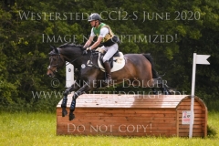 Sir Boggles Peter THOMSEN