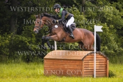 Vroni S Malin PETERSEN