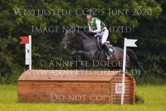 Sunnyvale Lass Shunto TAKAHASHI