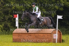 Sunnyvale Lass Shunto TAKAHASHI