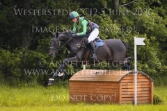 Carlson B Vanessa BOELTING