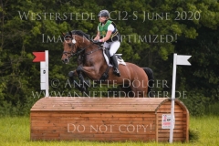 Brennus Alina DIBOWSKI