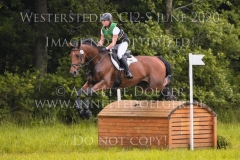 Brennus Alina DIBOWSKI