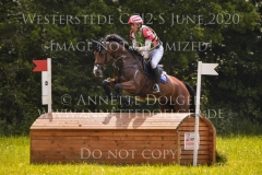 Tullyoran Cruise JRA Yoshiaki OIWA