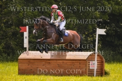 Tullyoran Cruise JRA Yoshiaki OIWA