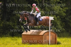 Tullyoran Cruise JRA Yoshiaki OIWA